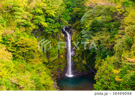 静岡県 須津川渓谷の紅葉 大棚の滝の写真素材