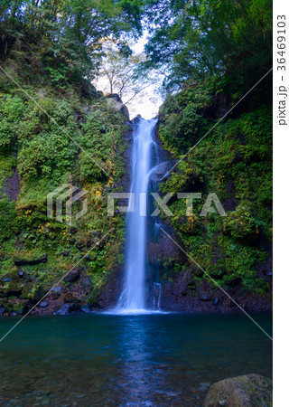 静岡県 須津川渓谷の紅葉 大棚の滝の写真素材