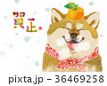 戌年　年賀状01 36469258