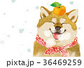 戌年　年賀状02 36469259