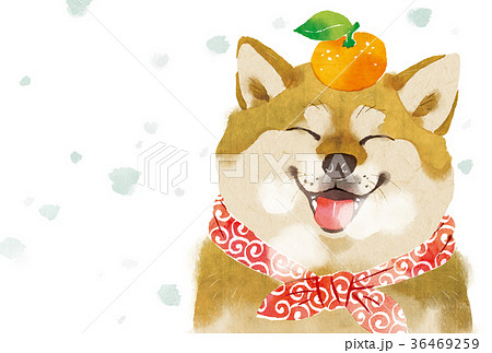 戌年　年賀状02 36469259