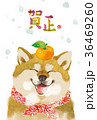 戌年　年賀状03 36469260