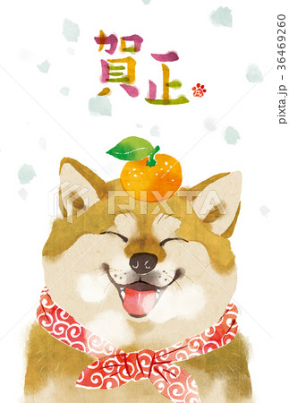 戌年　年賀状03 36469260