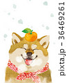 戌年　年賀状04 36469261