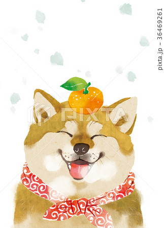 戌年 年賀状04 戌年 年賀状04 36469261