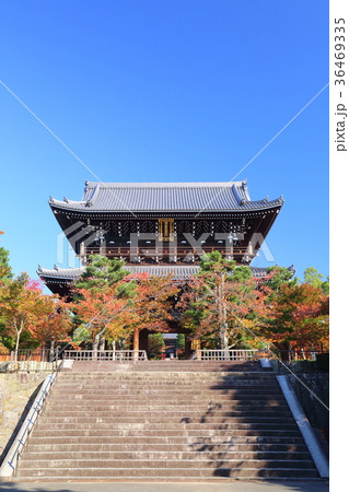 京都 秋の金戒光明寺 山門 京都 秋の金戒光明寺 山門 36469335