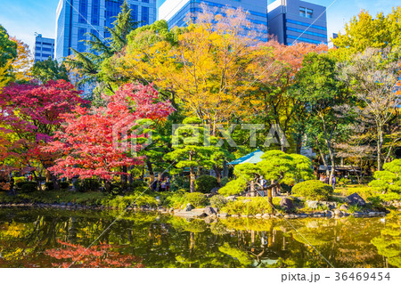 東京 秋の日比谷公園(雲形池) 東京 秋の日比谷公園(雲形池) 36469454
