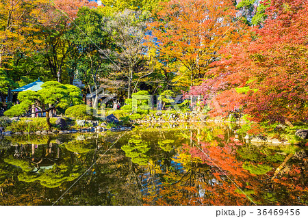 東京 秋の日比谷公園 雲形池 の写真素材