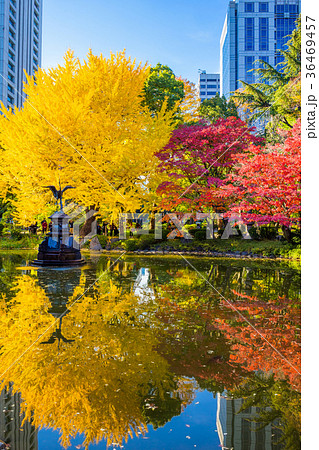 東京 秋の日比谷公園(雲形池) 東京 秋の日比谷公園(雲形池) 36469457