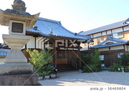 春日神社/奈良県奈良市今市町 春日神社/奈良県奈良市今市町 36469804
