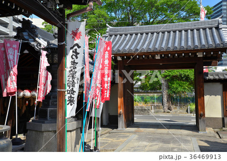 名古屋　東充寺　へちま薬師 36469913