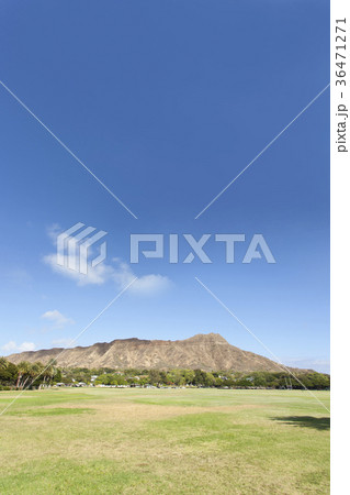 カピオラニパークとダイアモンドヘッド 36471271
