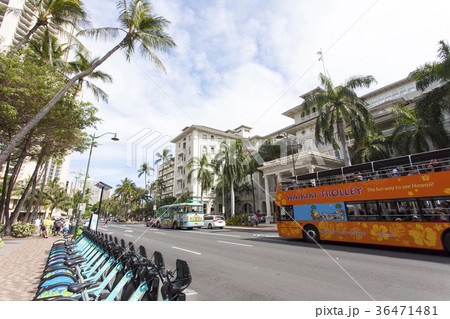 ハワイ　ワイキキ　カラカウア通り 36471481