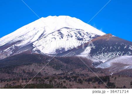 裾野市　水ヶ塚公園から見た富士山 36471714