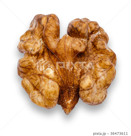 Walnut peeled isolated on white background 36473611