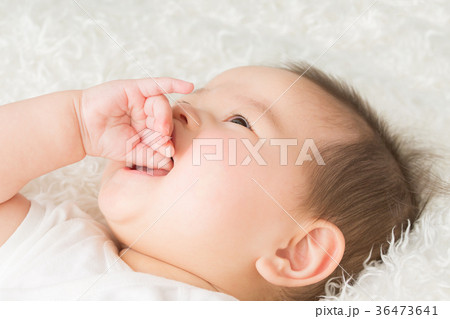 指しゃぶりする赤ちゃんの写真素材