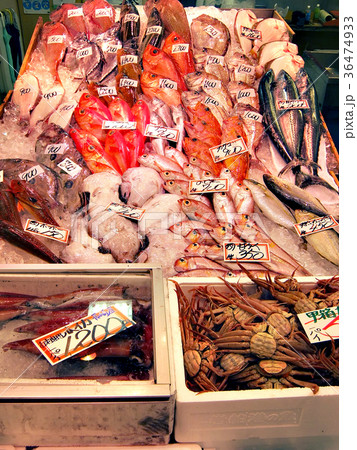 金沢近江町市場 36474933