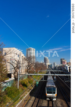 明大中野 36478060