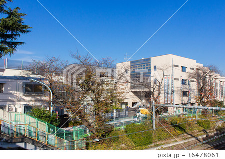 明大中野 36478061