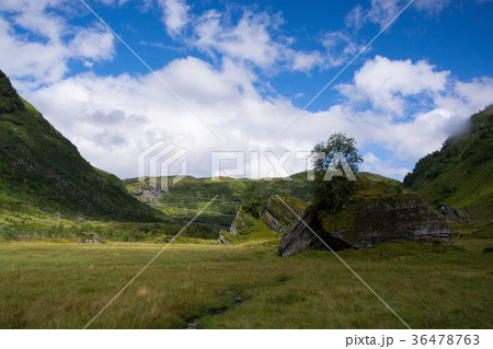 Vikafjell, Hordaland, Norway Vikafjell, Hordaland, Norway 36478763