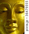 Face Buddha Close-up 36479355