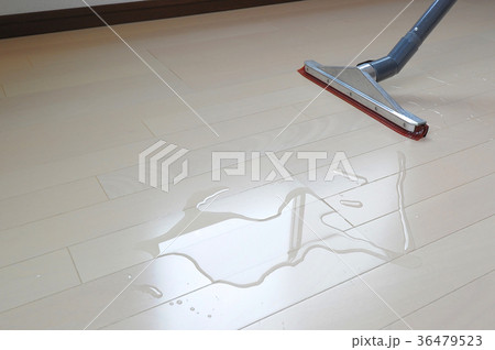ハウスクリーニング 床に溜まった水 ハウスクリーニング 床に溜まった水 36479523