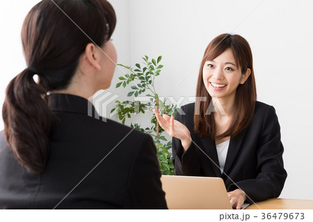 向かい合って話すビジネスウーマン 36479673
