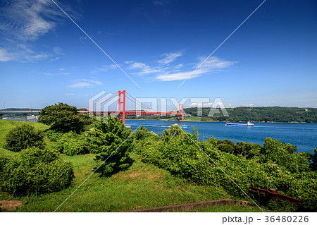 平戸大橋＠長崎県平戸市 36480226