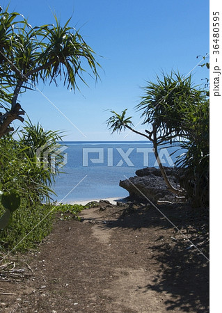 船原浜 (フナバルハマ ) 鳩間島 船原浜 (フナバルハマ ) 鳩間島 36480595