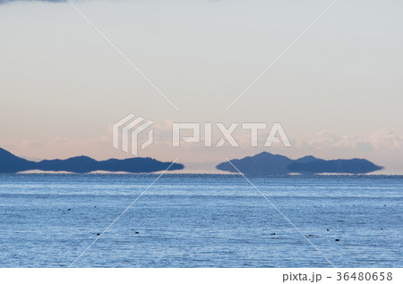 琵琶湖の浮島現象 琵琶湖の浮島現象 36480658