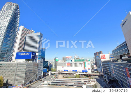 新宿駅西口 新宿駅西口 36480716