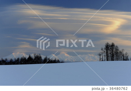 冬の就実の丘_4 36480762