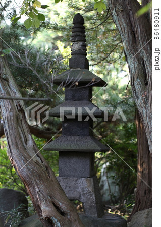 清亀園の石灯籠 清亀園の石灯籠 36480911