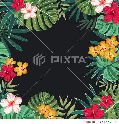Tropical plant vector design 007 36486217