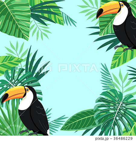 Tropical plant vector design 006 Tropical plant vector design 006 36486229