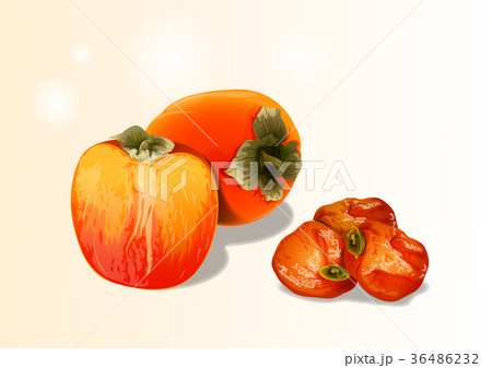 Fruit objects - Apple, tomato, chestnut, etc 005 36486232