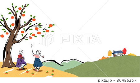 Korean traditional play - kiteflying, pick persimmon etc.004 Korean traditional play - kiteflying, pick persimmon etc.004 36486257