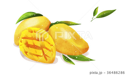 fruit and plant design, expressive of summer 012 36486286