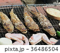 魚でバーベキュー 36486504
