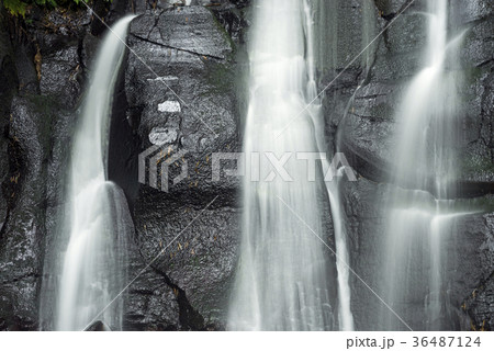 陽目渓谷の湧き水 36487124