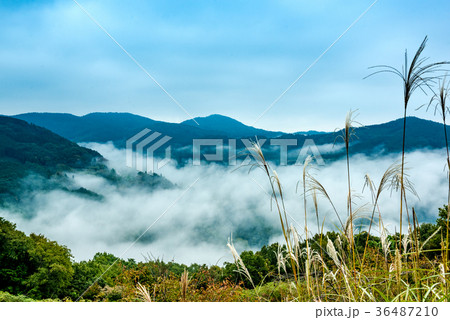雲海 雲海 36487210