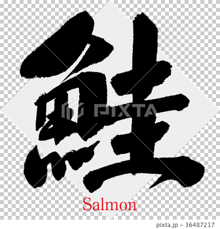 鮭・さけ・サケ(筆文字・手書き) 鮭・さけ・サケ(筆文字・手書き) 36487217