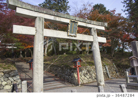 大原野神社の鳥居/京都府京都市西京区大原野南春日町 大原野神社の鳥居/京都府京都市西京区大原野南春日町 36487284