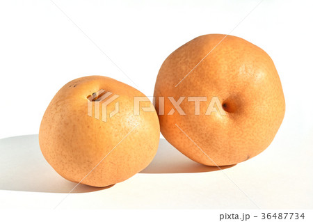 あたご梨 あたご梨 36487734