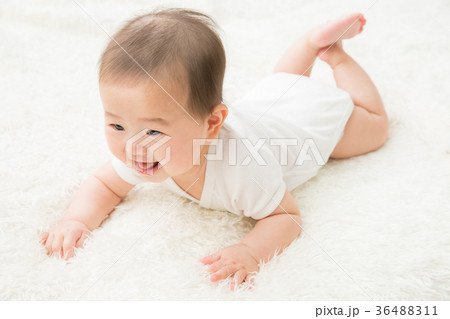 ハイハイする赤ちゃん(笑顔) ハイハイする赤ちゃん(笑顔) 36488311