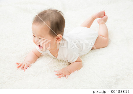 ハイハイする赤ちゃん(笑顔) ハイハイする赤ちゃん(笑顔) 36488312