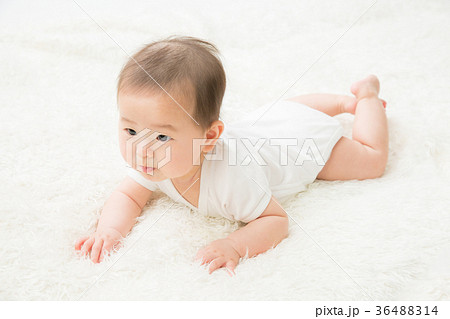ハイハイする赤ちゃん 36488314