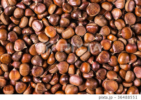 Ripe chestnuts close up.  Food background. 36488551