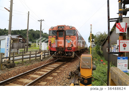 ＪＲ氷見線　越中国分駅付近 36488624