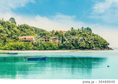 Tropical Island Tropical Island 36489040